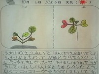 観察1 (2).jpg