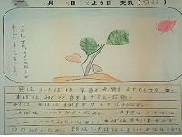 観察2 (2).jpg