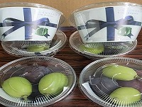 試食サンプル (2).jpg