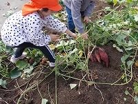 DSCN0178 (2).jpg