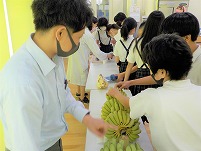 DSCN0284 (2).jpg