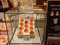 DSCN0338.jpg