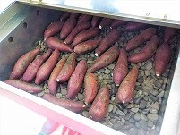DSCN0393 (3).jpg