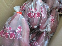 DSCN0395 (2).jpg
