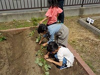 DSCN0466.jpg