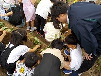 DSCN0475.jpg