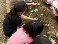 DSCN0480 (2).jpg