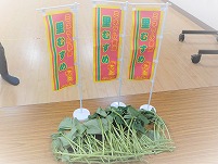 DSCN0484 (2).jpg