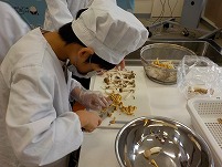 DSCN0599.jpg