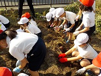 DSCN0644.jpg