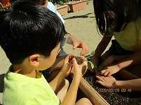 IMG_0850.jpg