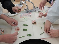 P2170157 (2).jpg