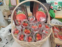 P2240179 (2).jpg