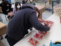 P2240215 (2).jpg P2240215 (2).jpg