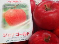 PA110051.jpg