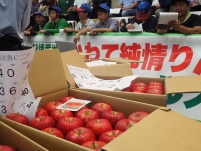 PA110082.jpg