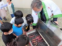 PA121161 (2).jpg PA121161 (2).jpg