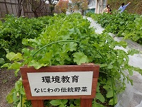 PB272096.jpg