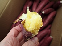 PB282102.jpg
