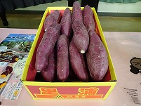 PB282109.jpg