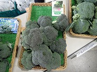 長崎県ブロッコリー.jpg