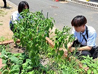 食育3.jpg11111.jpg