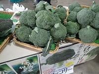 香川県ブロッコリー.jpg
