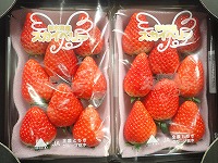 P1303547.JPG11111.jpg P1303547.JPG11111.jpg