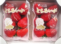 P1303548.JPG1111.jpg P1303548.JPG1111.jpg