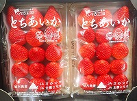 P1303550.JPG1111111.jpg P1303550.JPG1111111.jpg