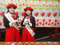 P1303562.JPG1111111.jpg P1303562.JPG1111111.jpg