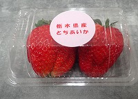 P1303594.JPG111111.jpg P1303594.JPG111111.jpg