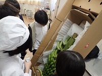 P2071641.jpg