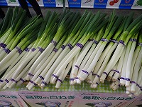 P4063799.JPG11111.jpg P4063799.JPG11111.jpg