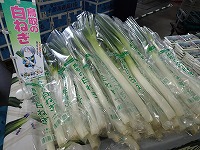 P4064317.JPG111111.jpg P4064317.JPG111111.jpg