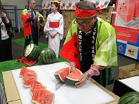 P4073899.JPG11111.jpg P4073899.JPG11111.jpg