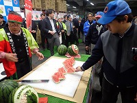 P4073906.JPG11111.jpg P4073906.JPG11111.jpg