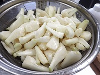 P5092015.JPG111111.jpg