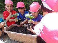 P5114610.JPG11111.jpg P5114610.JPG11111.jpg