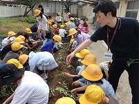 P5154000.JPG111111.jpg