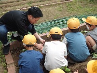 P5194143.JPG1111111.jpg