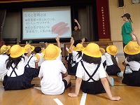 P5290112.JPG11111.jpg