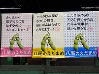 P5292165.JPG1111.jpg
