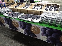 P6214835.JPG111.jpg