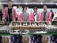 P6214853.JPG111.jpg