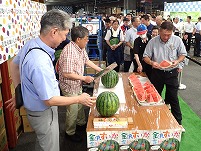 P7030201.JPG1111.jpg