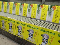 P7185512.JPG111111.jpg