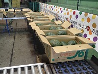P7235600.JPG11111.jpg