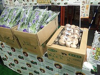 P7260535.JPG1111.jpg