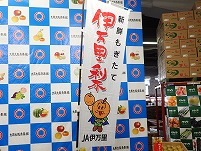 P7280550.JPG111.jpg